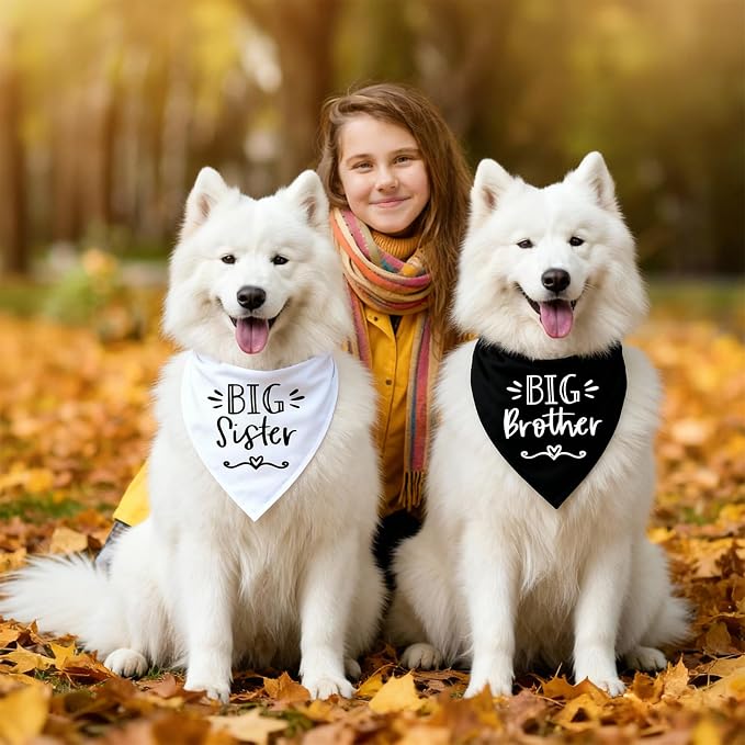 2 Pack Big Sister Big Brother Dog Bandanas, Adjustable Pet Bandana - Image 5