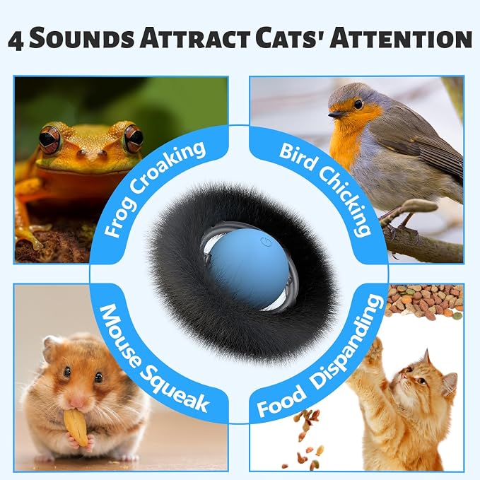 ORSDA Cat Toys, Interactive Fast Rolling Ball in Pouch, Hide and Seek - Image 7