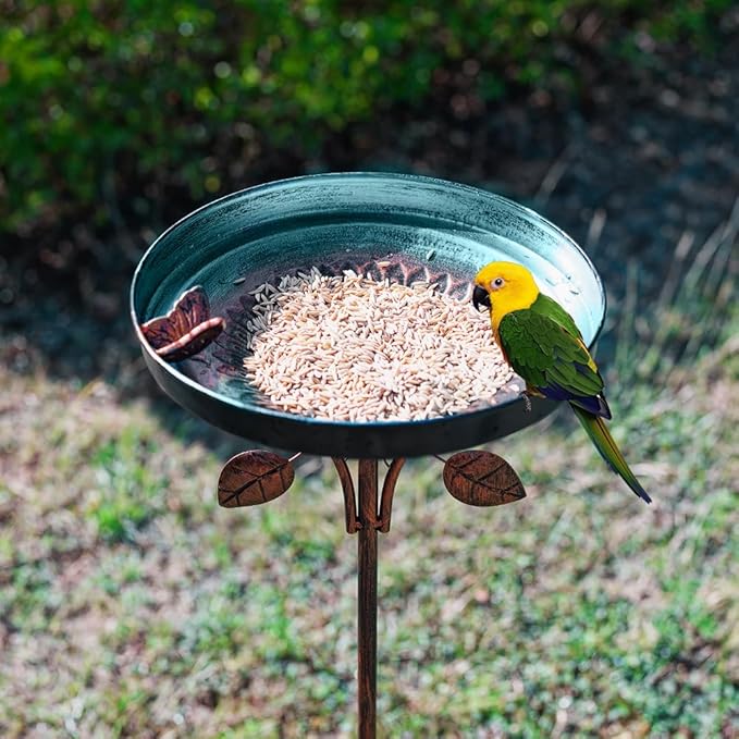 DREAMSOUL 38 Inch Bird Bath - Image 4