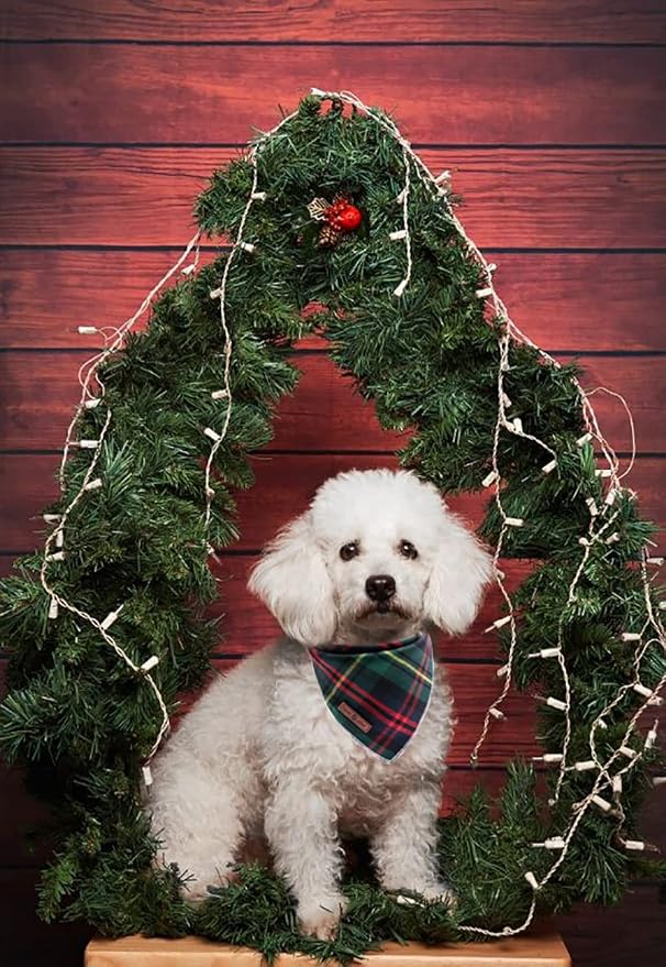 Lionet Paws Christmas Dog Bandana Washable Cotton Handkerchief Scarf Triangle - Image 3
