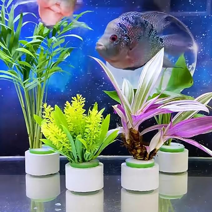 12 Pack Aquarium Plant Weights, Aquatic Plants Fixed Ring Set, Anti-Floating - Image 5