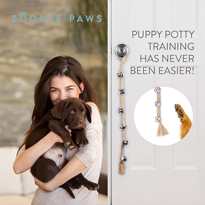 Training Dog Door Bells to Go Outside - Image 6
