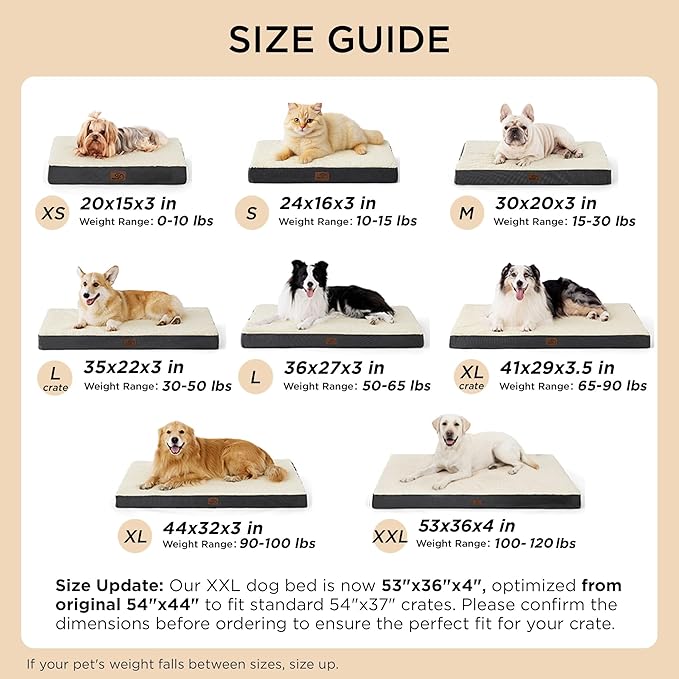 Bedsure XL Dog Beds Large Sized Dog -Comfy Flat Extra Large Pet Beds - Image 7