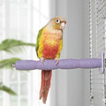 Parrot Perch Birds Nail File Perch Abrasive Surface Ceramic Paw Grinding Stick by YOOSOWING