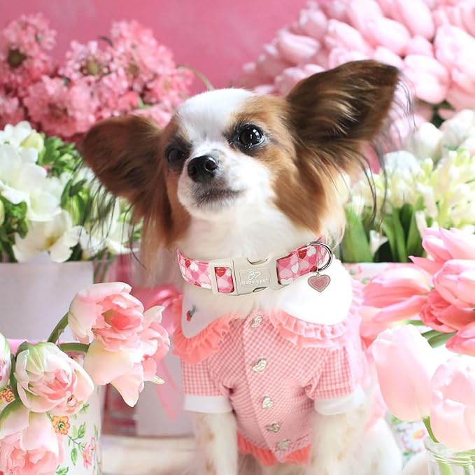 Valentines Dog Collar for Large Dogs - Image 2