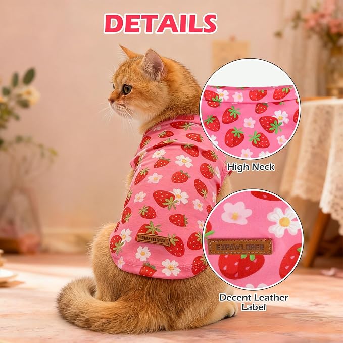 EXPAWLORER Soft Cat Sweater - Image 2