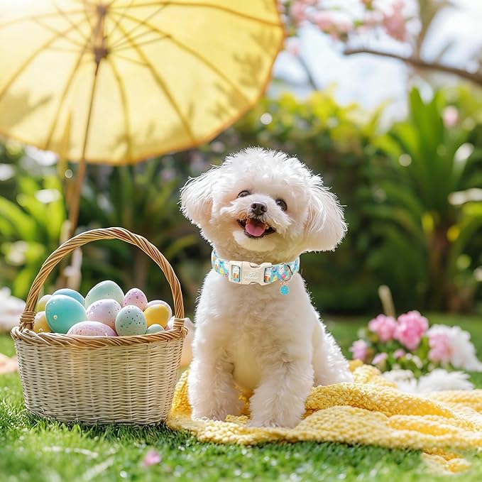 Easter Dog Collar for Small Dogs - Image 5