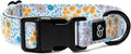Lucy & Co. Among The Wildflowers Dog Collar by LucyCo