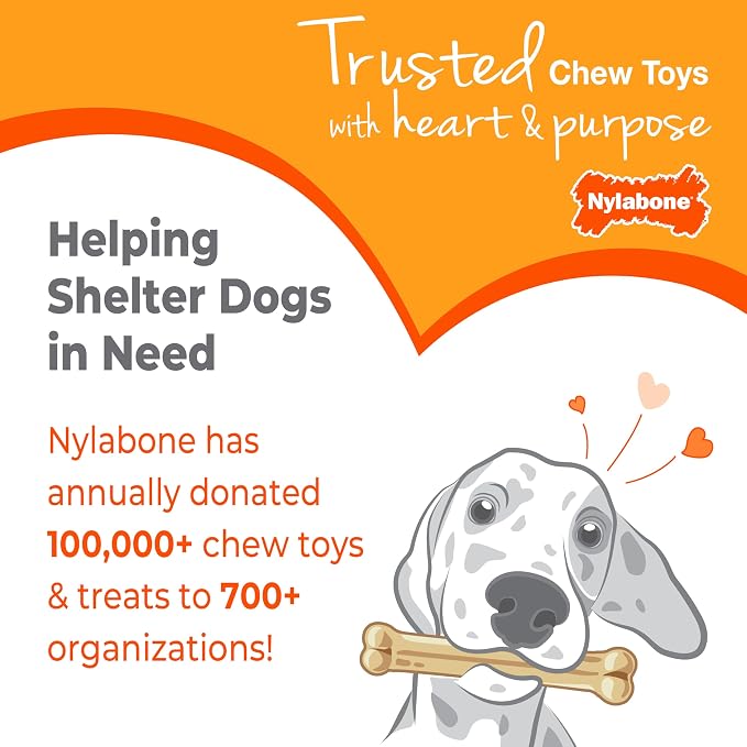 Nylabone Puppy Chew Key Ring Toy, Toys - Image 10