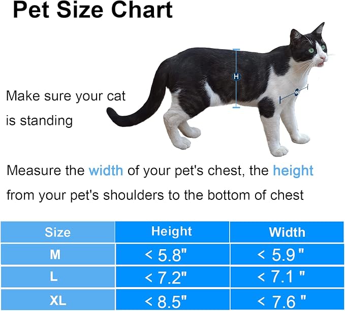 CEESC Medium Cat Door for Interior/Exterior Door, Weatherproof, Rotary 4 Way - Image 3