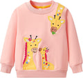 Toddler Baby Girls Cotton Sweater, Long Sleeve Crewneck Sweatshirt Pullover by Unknown