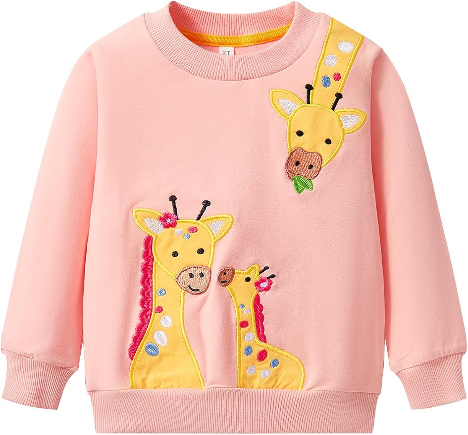 Toddler Baby Girls Cotton Sweater, Long Sleeve Crewneck Sweatshirt Pullover by Unknown