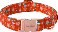 Unique style paws Dog Collar Metal Buckle Collar by Uniquestylepaws