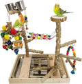 PINVNBY Bird Playground Natural Wood Parrot Perch Stand Bird Play Gym Colorful by PINVNBY