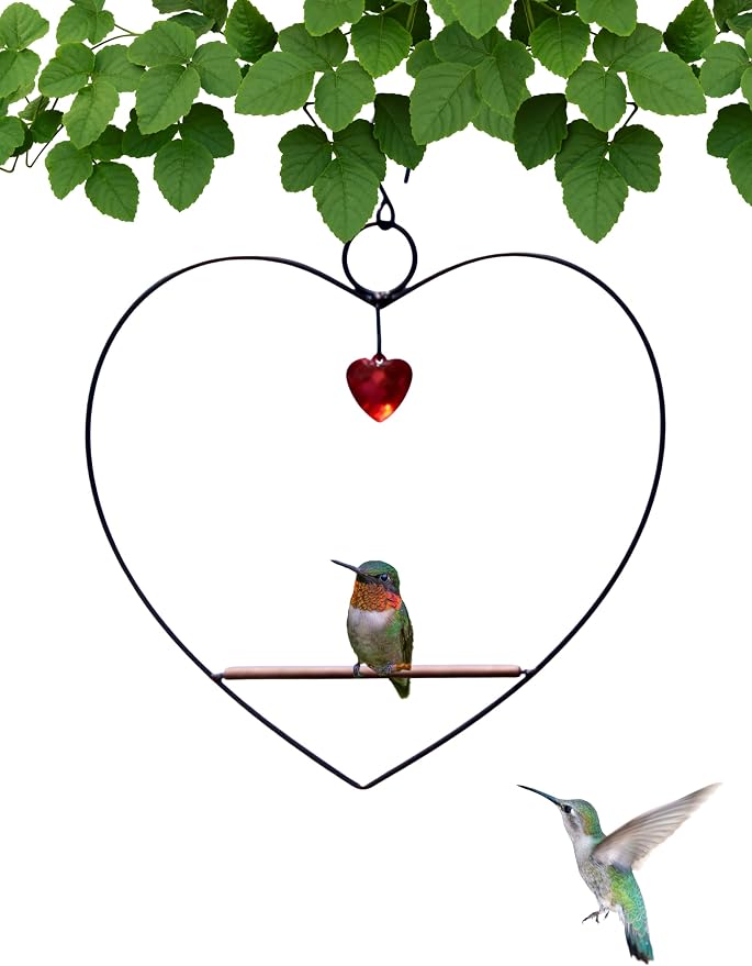 Songbird Essentials Hummingbird Swing by SongbirdEssentials