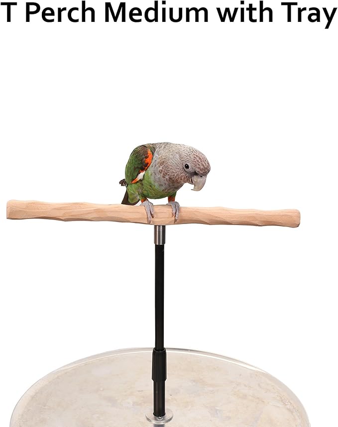 Parrot Training Perch Stand - Image 2