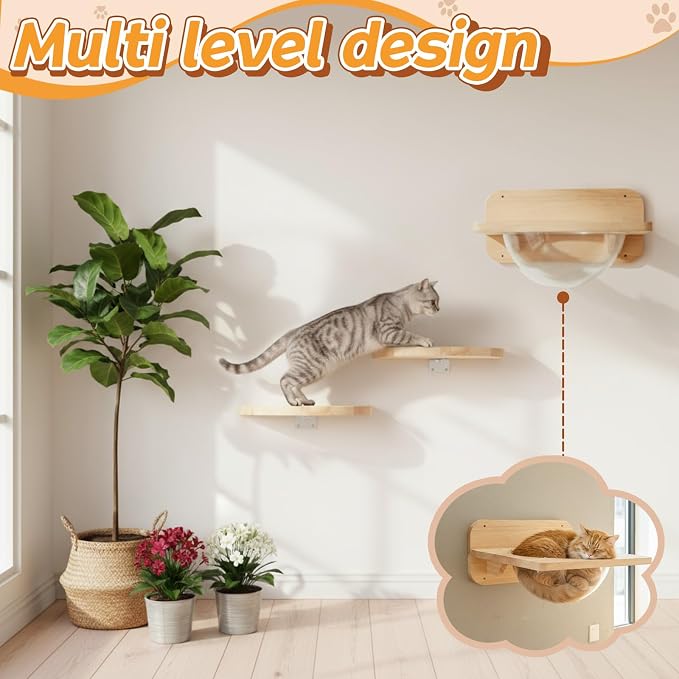 3 Pcs Cat Wall Shelves Set, Thicken Wooden Transparent Capsule Kitten Shelves - Image 5
