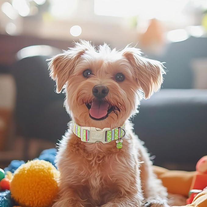 Easter Dog Collar for Small Dogs - Image 2
