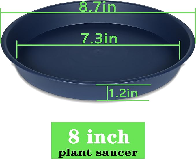 2 Pack of 8 inch Plant Saucer Clear, Heavy Duty Plastic Plant Water Tray 8 inch - Image 2