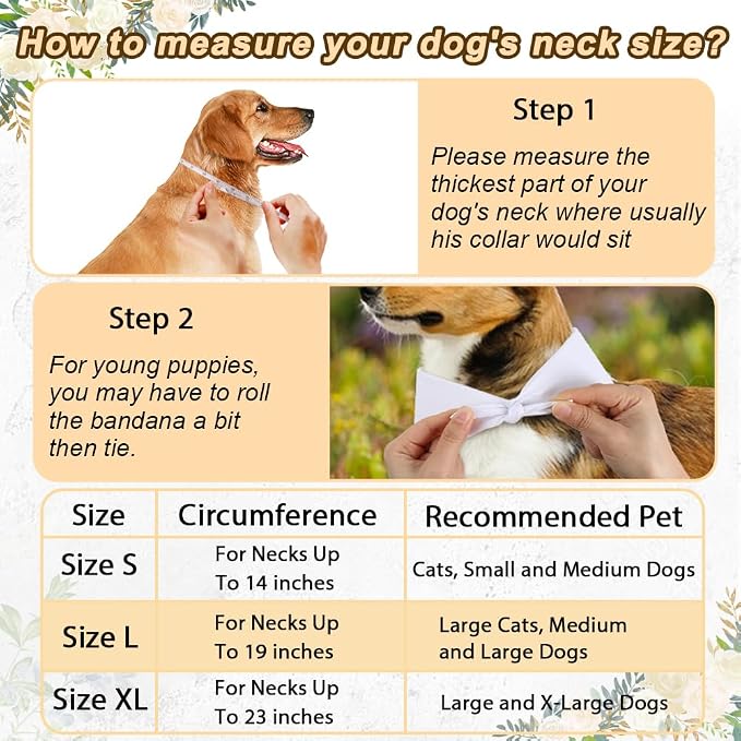 SZEE Engagement Gifts for Couples, 2 Pack My Humans are Getting Married Dog - Image 3