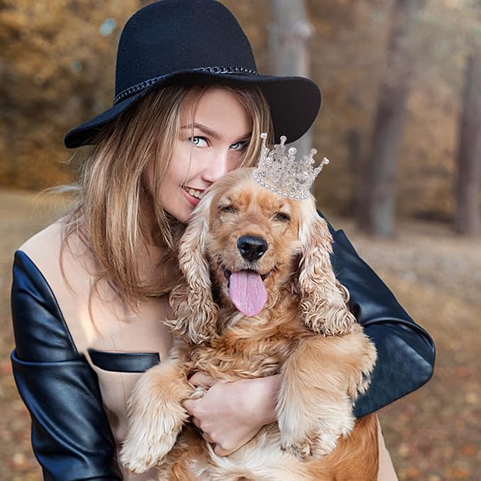 PET SHOW 2pcs Medium Dog Crown Headband Puppies Cat Hat - Image 6