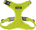 Voyager Step-in Pet Harness by BestPetSuppliesLLC