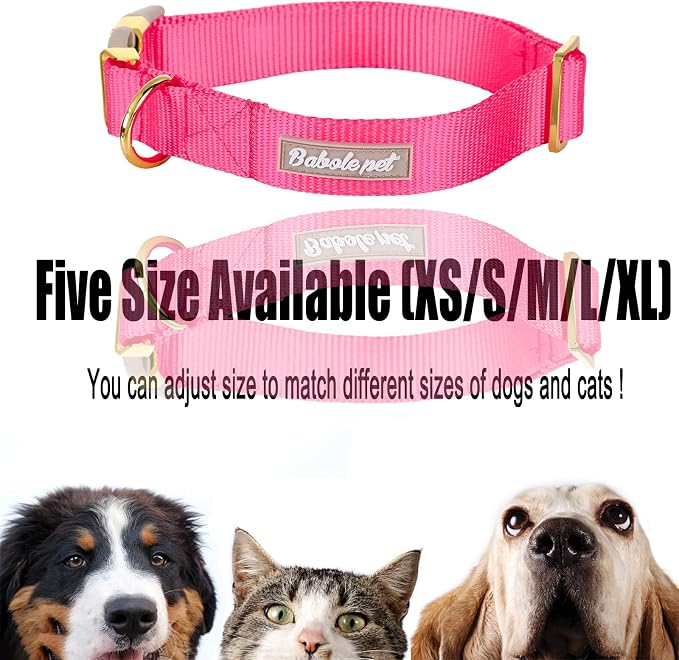 Nylon Dog Collar - Image 8