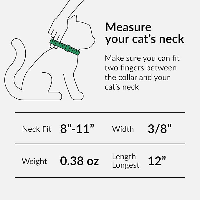 CollarDirect Leather Cat Collar, Kitten Collar - Image 4