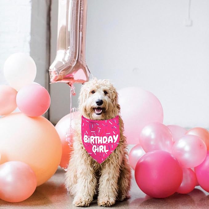 Birthday Girl Dog Bandanas 1 Pack, Pet Scarves HBD Bandanas - Image 5