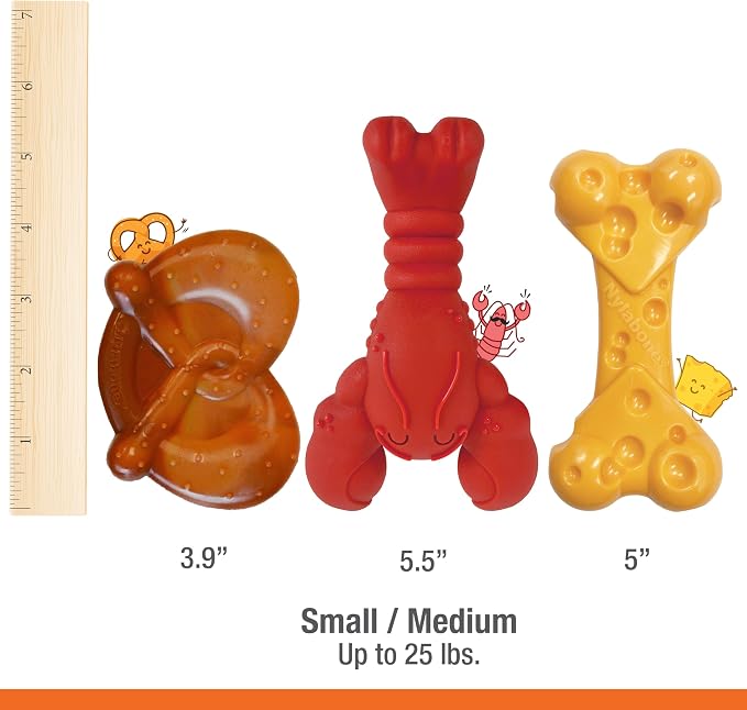 Nylabone Power Chew Toy Bundle, Cute Dog Toys - Image 5