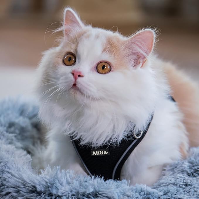 AIITLE Easy Walk Dog Harness and Leash Set - Image 9