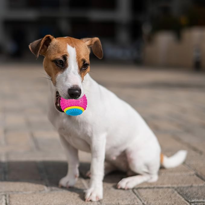 SPOT Sensory Ball for Soft Chewers - Image 5