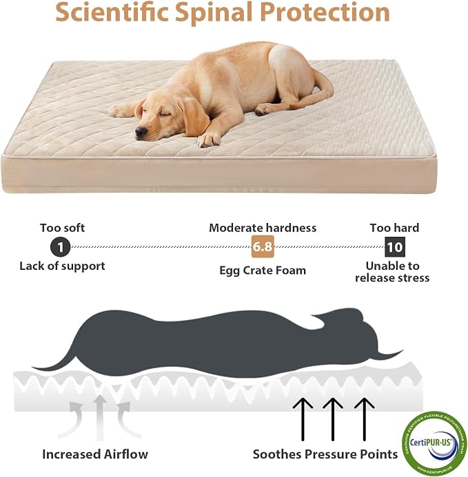 WNPETHOME Orthopedic XXL Dog Beds Large Sized Dog, Waterproof Extra Large Dogs - Image 3