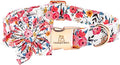 Lionheart Glory Floral Dog Collar by LionheartGlory