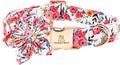 Lionheart glory Dog Collar Flowers Collar Floral Dog Collar by LionheartGlory
