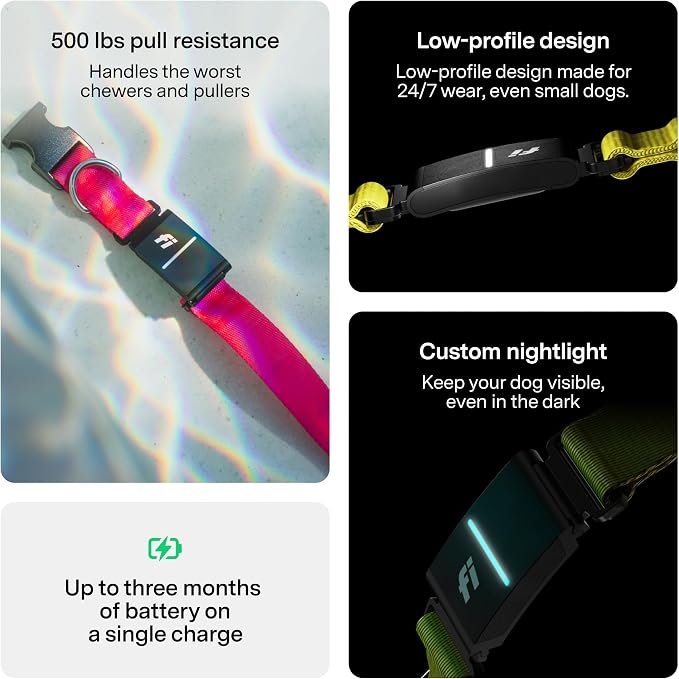 New Fi Series 3+ Smart Dog Tracker Collar GPS Tracker - Image 7
