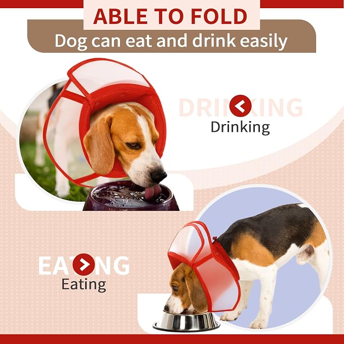 Allroaring Dog Cone, Soft Dog Cones - Image 3