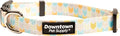 Downtown Pet Supply by DowntownPetSupply