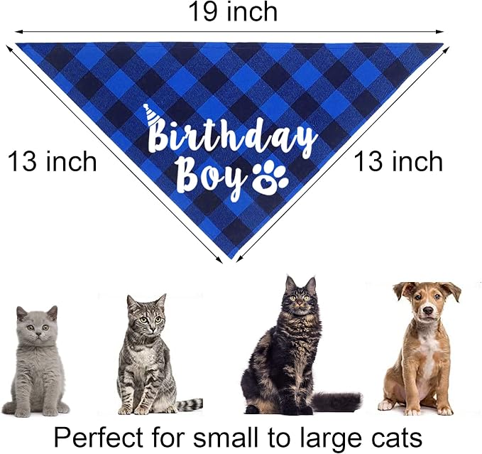 Cat Birthday Party Supplies, Cat Birthday Hat - Image 5