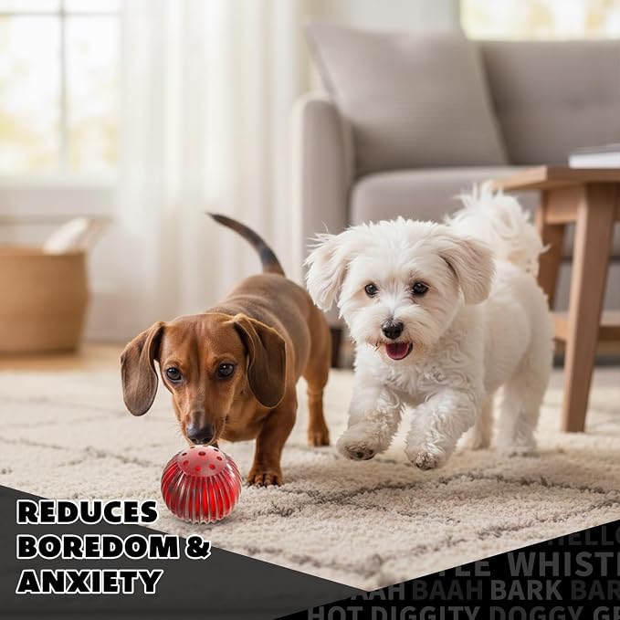 Pet Qwerks Blinky Babble Ball - Image 5