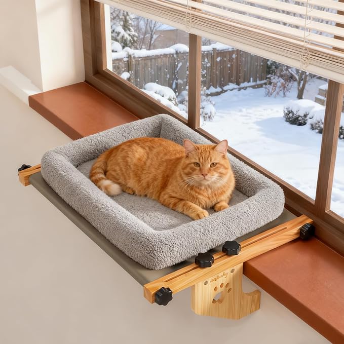Cat Window Perch by ankuliy