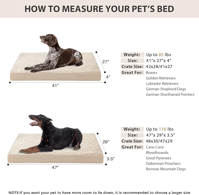 WNPETHOME Orthopedic XL Dog Bed - Image 5