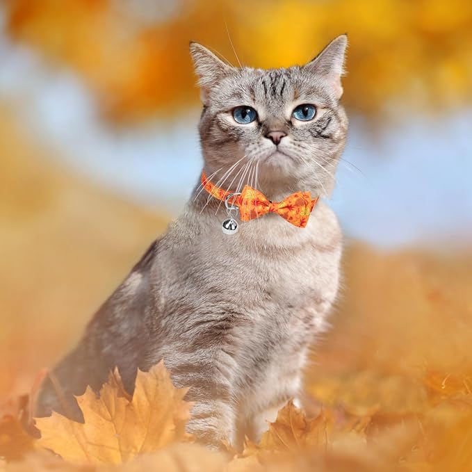 SCENEREAL Fall Thanksgiviing Cat Collar Breakaway Girl Boy, 3 Pack Turkey - Image 6
