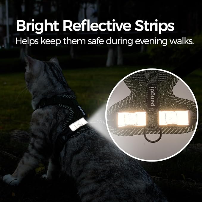 Cat Harness and Leash Escape Proof Extra Large Kitten Harness Maine Coon Cat - Image 6