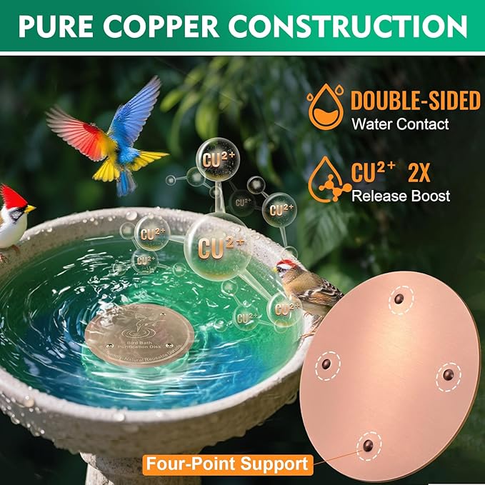 2 Pcs Bird Bath Copper Disk | 99.99% Pure Copper Plate & Birdbath Disk | 0.6mm - Image 4