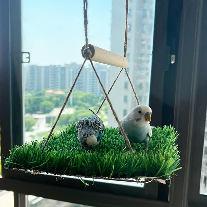 FlidRunest Bird Swing Mat with Wood Perch, Lawn Swing Hammock - Image 2