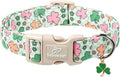 St Patricks Day Dog Collar for Medium Dogs by Babolepet