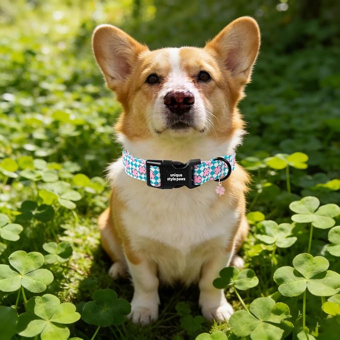 Unique style paws Dog Collar Plastic Buckle - Image 4