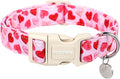 DOGWONG Valentine's Dog Collar by DOGWONG