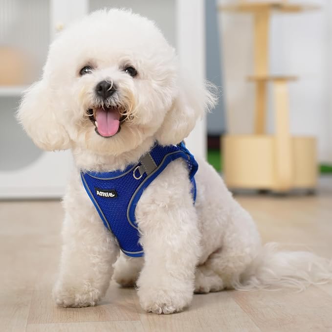 AIITLE Small Harness for Puppy - Image 11